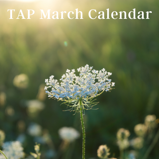 March TAP Calendar Featured Photo