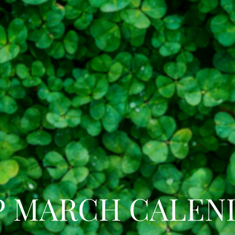 CLW's TAP March Calendar featured photo for the website. It is a photo of a field of four leaf clovers.