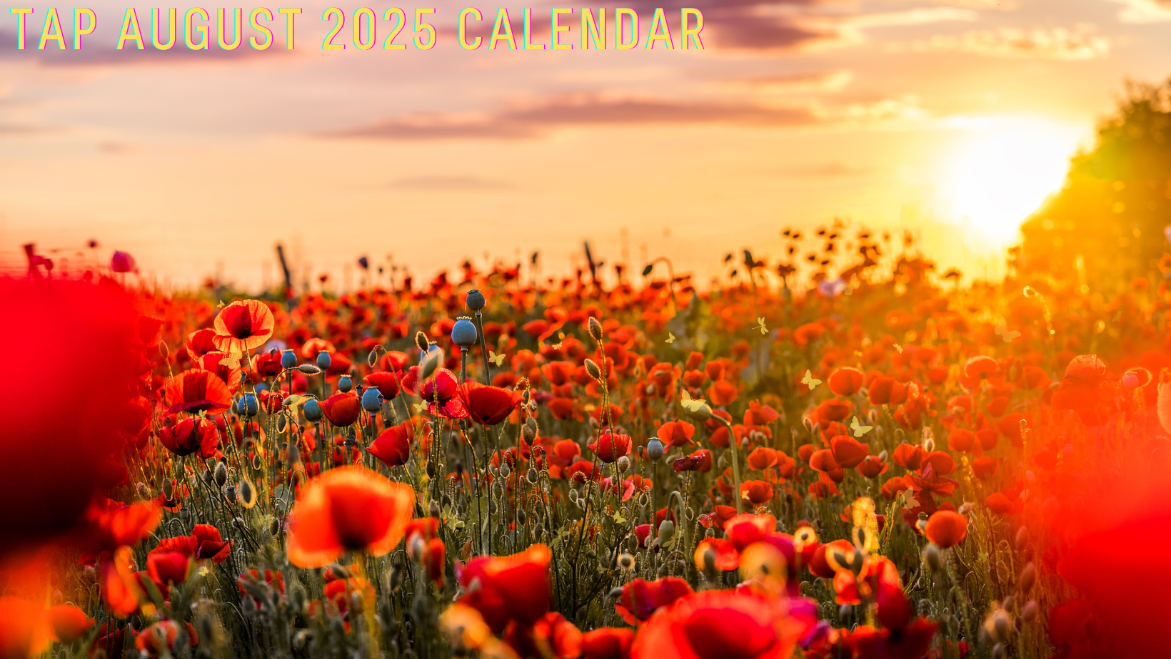 TAP August 2024 Youth Calendar featured photo